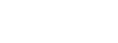 Lion Property Solutions